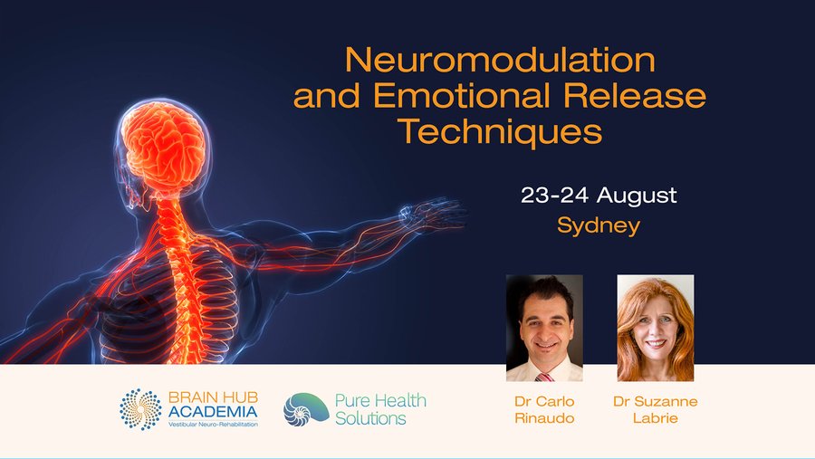 Brain Hub Academia seminar banner