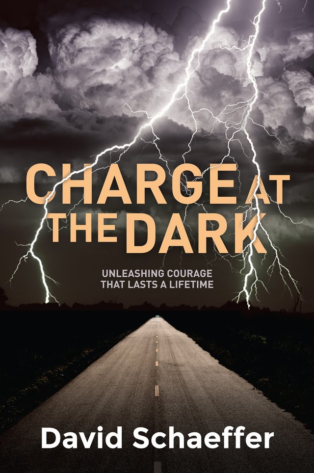 Charge at the Dark book cover for David Schaeffer