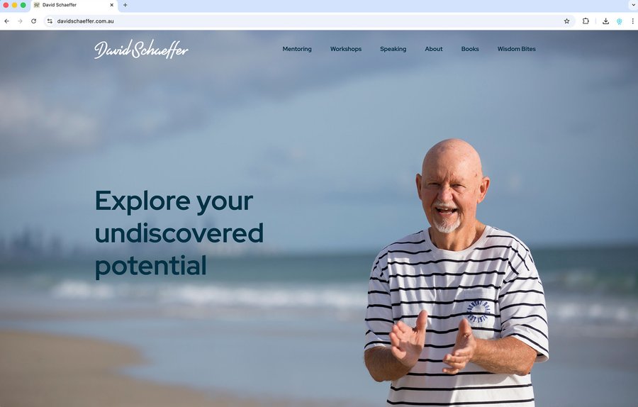 David Schaeffer website after the redesign